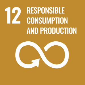 Zion Ventures UN Sustainability Goal 12 Responsible Consumption and Production
