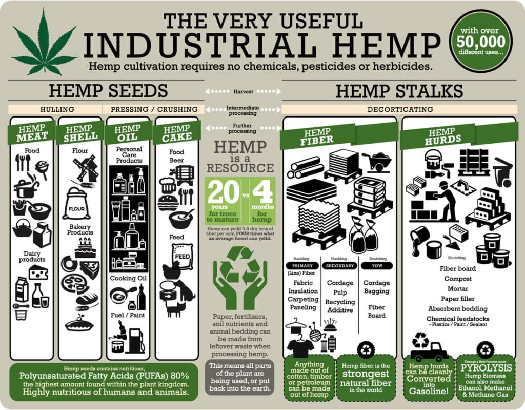 hemp-uses-